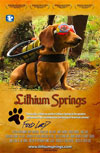 Lithium Springs